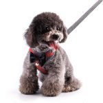 small dog harness review