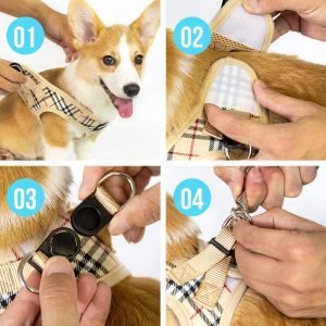 Best harness for small dogs 