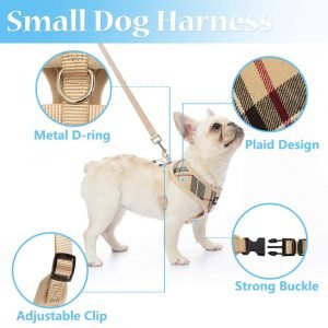 Best harness for small dogs 