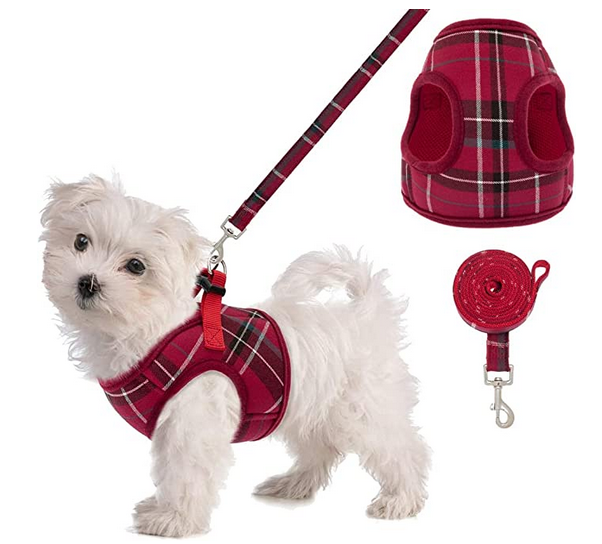 Pupteck harness