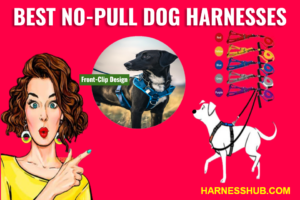 No-Pull Dog Harnesses: Top 10 Best