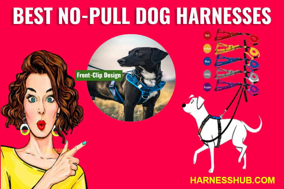 no-pull dog harnesses
