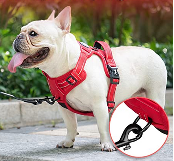 poypet no pull dog harness