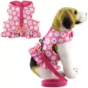 cute pet harness