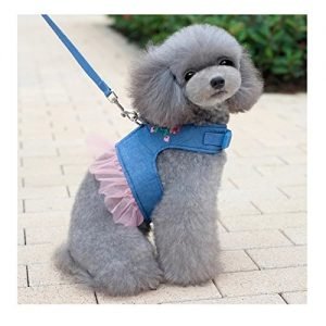 cute dog harness dresses
