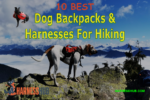 dog backpack hiking harnesses