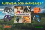 ruffwear dog harness review