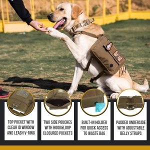 onetigris dog backpack product