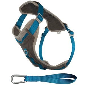 kurgo journey air dog harness for hiking