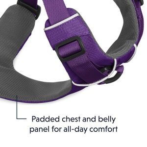 ruffwear front range dog harness