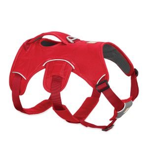 ruffwear web master harness