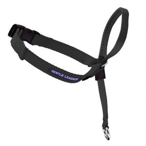 petsafe head collar dog harness