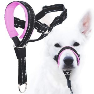 goodboy head collar dog harness