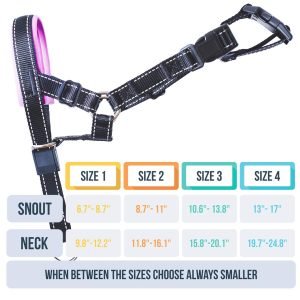 goodboy head halter dog harness