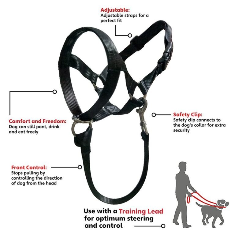 Barkless gentle leader dog harness