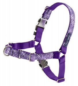 PetSafe easy walk dog harness