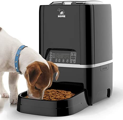 dog with automatic pet feeder