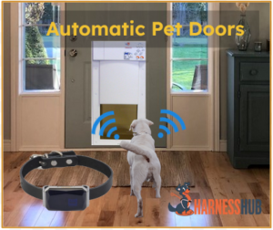 Automatic Pet Doors: Ultimate Guide