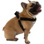 step in dog harness