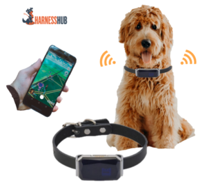 Pet GPS Trackers: A Complete Guide