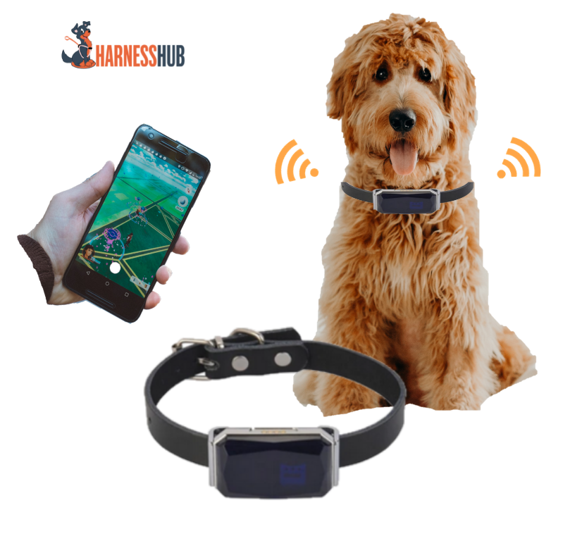 pet gps tracker