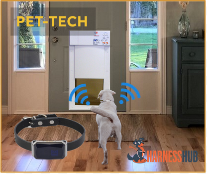 automatic pet door